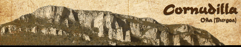 Budo Sakura - karate in Cornudilla