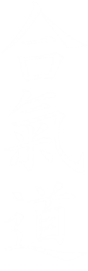 Dojo Aikido Shisei-IpponMatsu Zaragoza - karate in Villanueva de Gállego