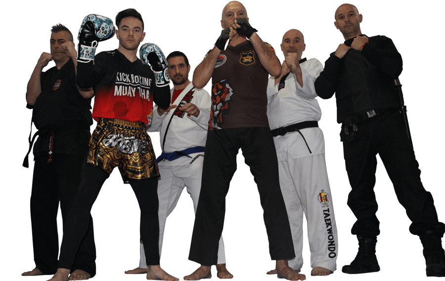 Academia Artes Marciales Templo Alicante - karate in Alicante (Alacant)