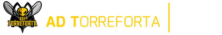 AD Torreforta - baloncesto in Tarragona