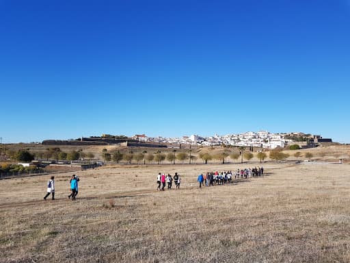 Municipal Stadium Athletics - rugby in Elvas