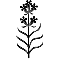 Pista de Pádel Pública Municipal de Azuara. - padel in Azuara