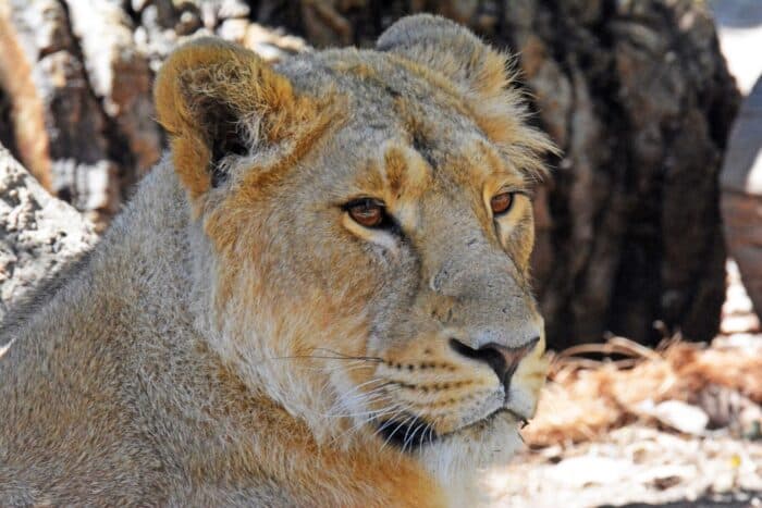 Aqua Natura - natacion in Benidorm