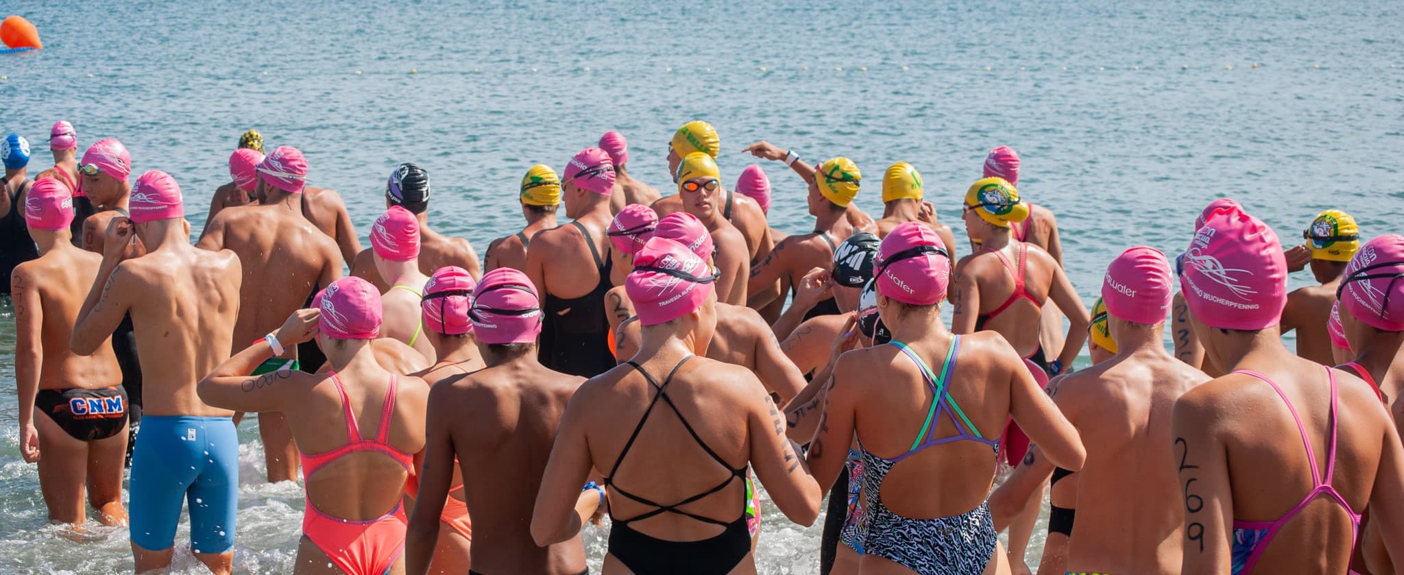 CDN Inacua Málaga - natacion in Málaga