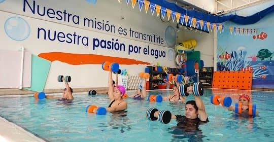 Piscina La Cañada - natacion in La Canyada