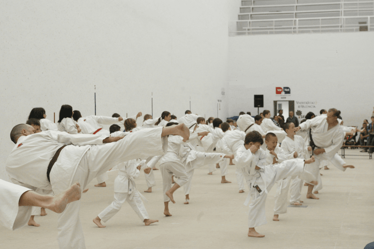 Club Karate Shotokan Pedreguer - karate in Pedreguer