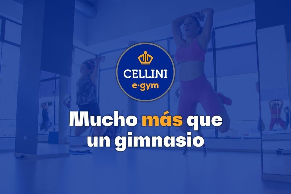 Cellini E·Gym - boxeo in Badajoz