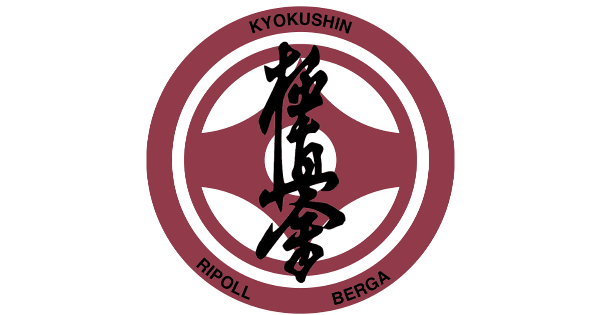 Sensei Guille - Club Karate Berga Kyokushin / Club Karate Kyokushin RIpoll - karate in Berga