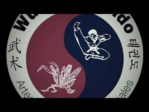 Escuela Wushu Kwando - karate in Palma