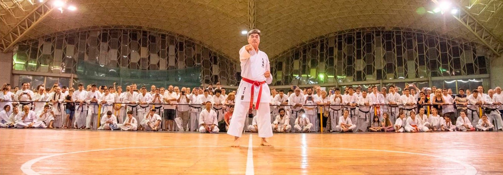 Karate Do Miyazato - karate in Madrid