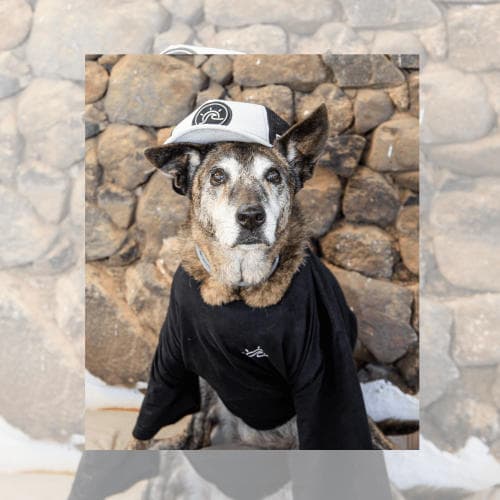 Surfschule Surf-Pyramide - surf in Empuriabrava