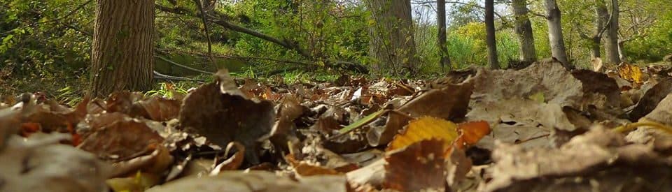Cesport Sports Complex - natacion in La Sénia