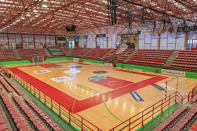 Pabellon Municipal Vicente Trueba - judo in Torrelavega