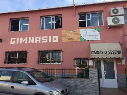 Gimnasio Seseña - judo in Seseña