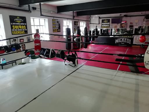 Hammer center - karate in Guadalajara