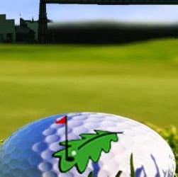 Federación de Golf de Bizkaia-Bizkaiko Golf Federazioa - golf in Bilbao