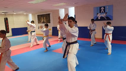 Mc Academy Antequera - karate in Antequera