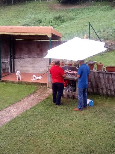 Pistas de Pádel Puente Arce - padel in Arce