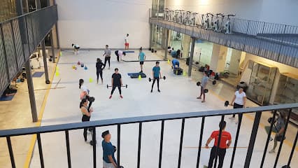 Forus Elx - natacion in Elx