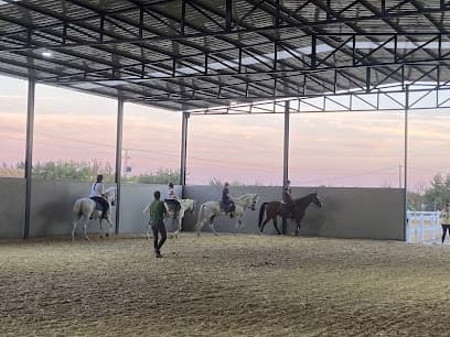 Horse Society Lebrera - tenis in Badajoz
