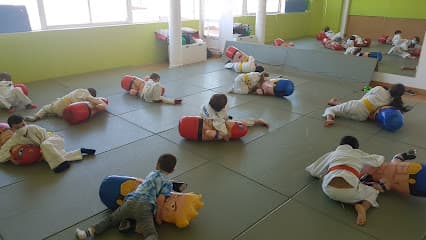 Polideportivo Olimpia - judo in Jaca