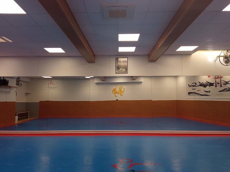 GIDAE TAEKWONDO ALCÁZAR DE SAN JUAN - judo in Alcázar de San Juan