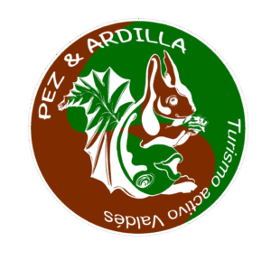 Pez y ardilla - padel in Luarca