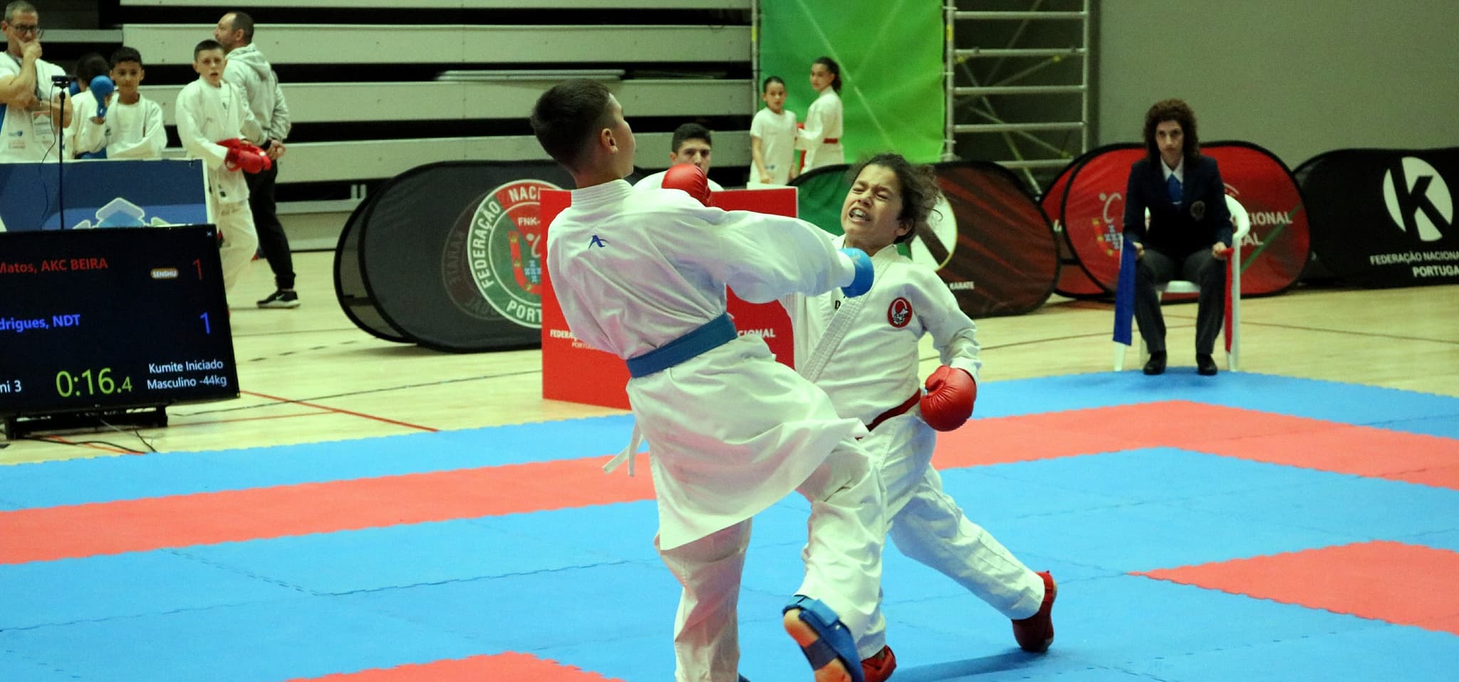 Associação Shotokan Karate da Beira Interior - karate in Covilhã