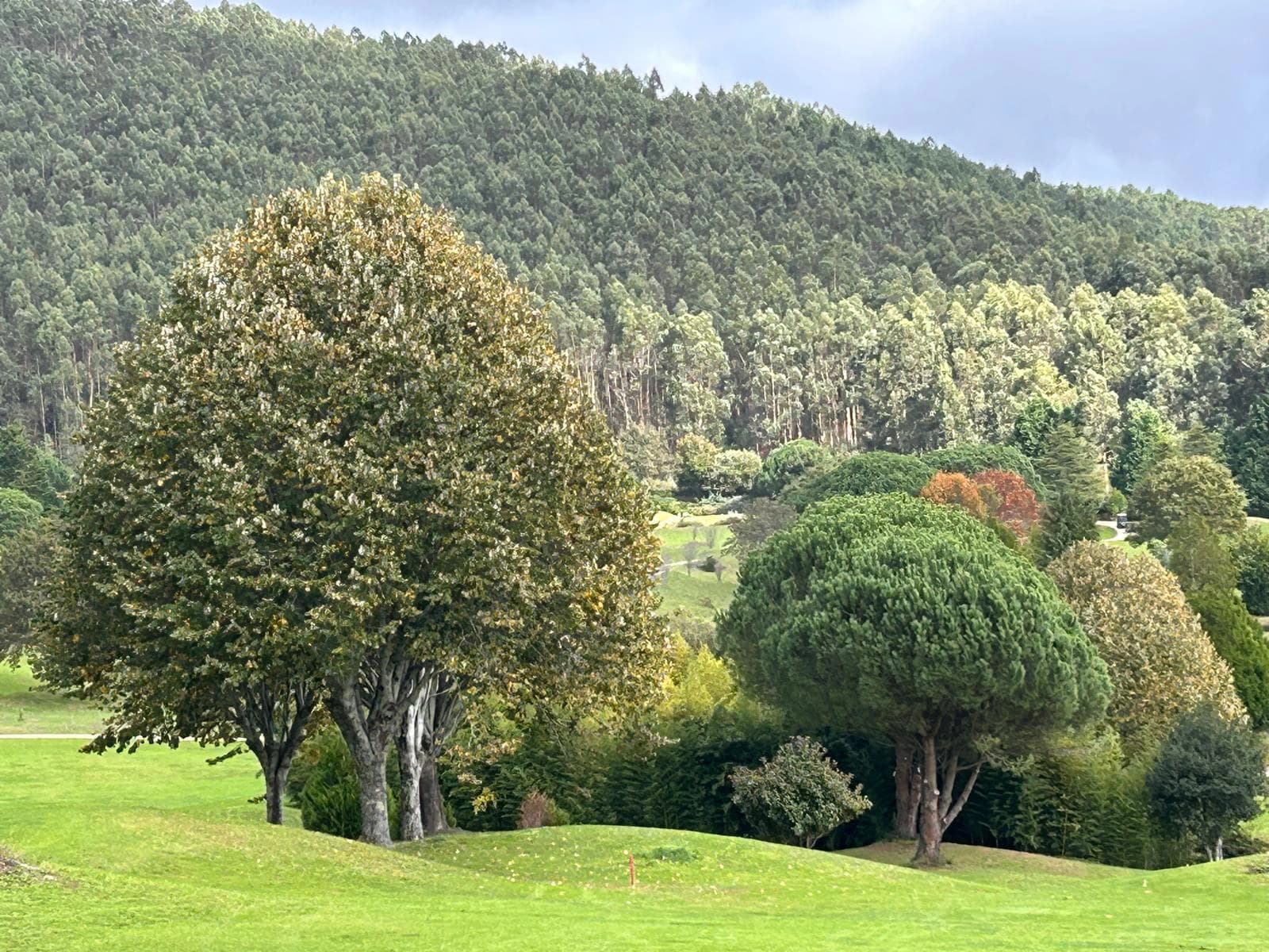 Golf Ria de Vigo - golf 