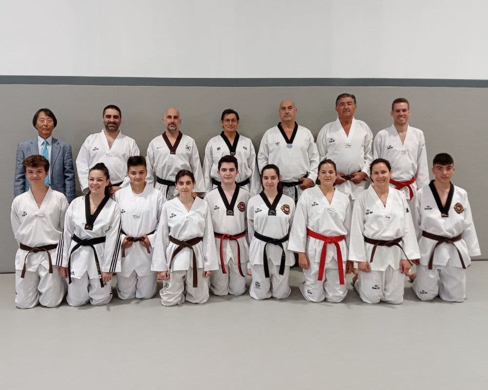 Taekwondo León Gimnasio Han-Yang - karate in León
