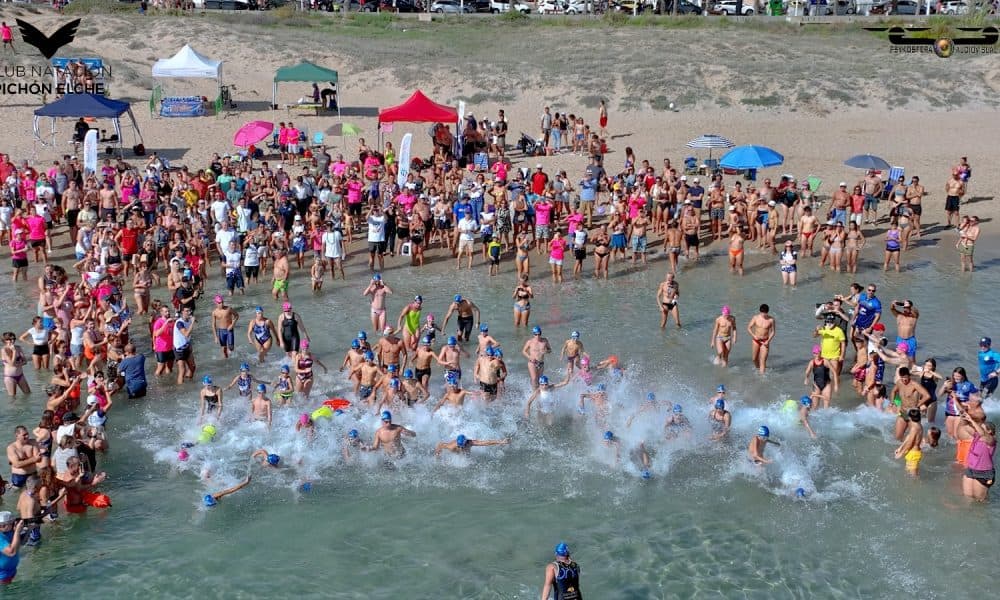 Los Nadadores de Arenales del Sol - natacion in Los Arenales del Sol