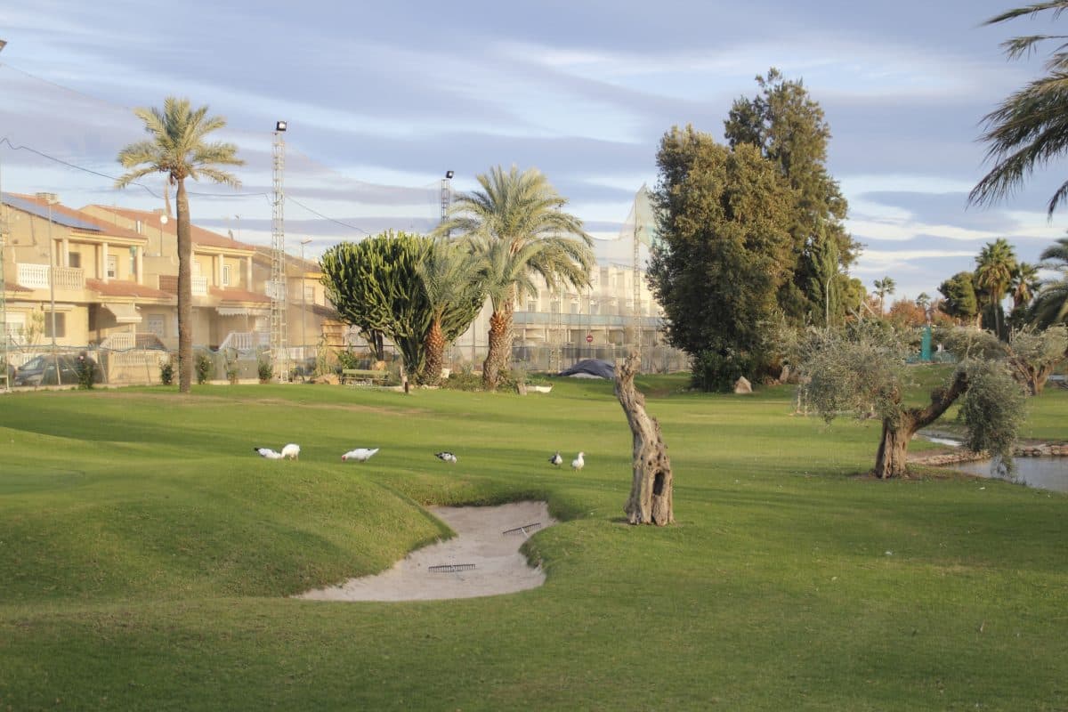 Club de Golf Torre-Pacheco - golf in Torre-Pacheco