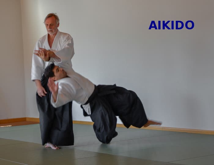 Asociación de Aikido Byakko Dojo - karate in Aranjuez