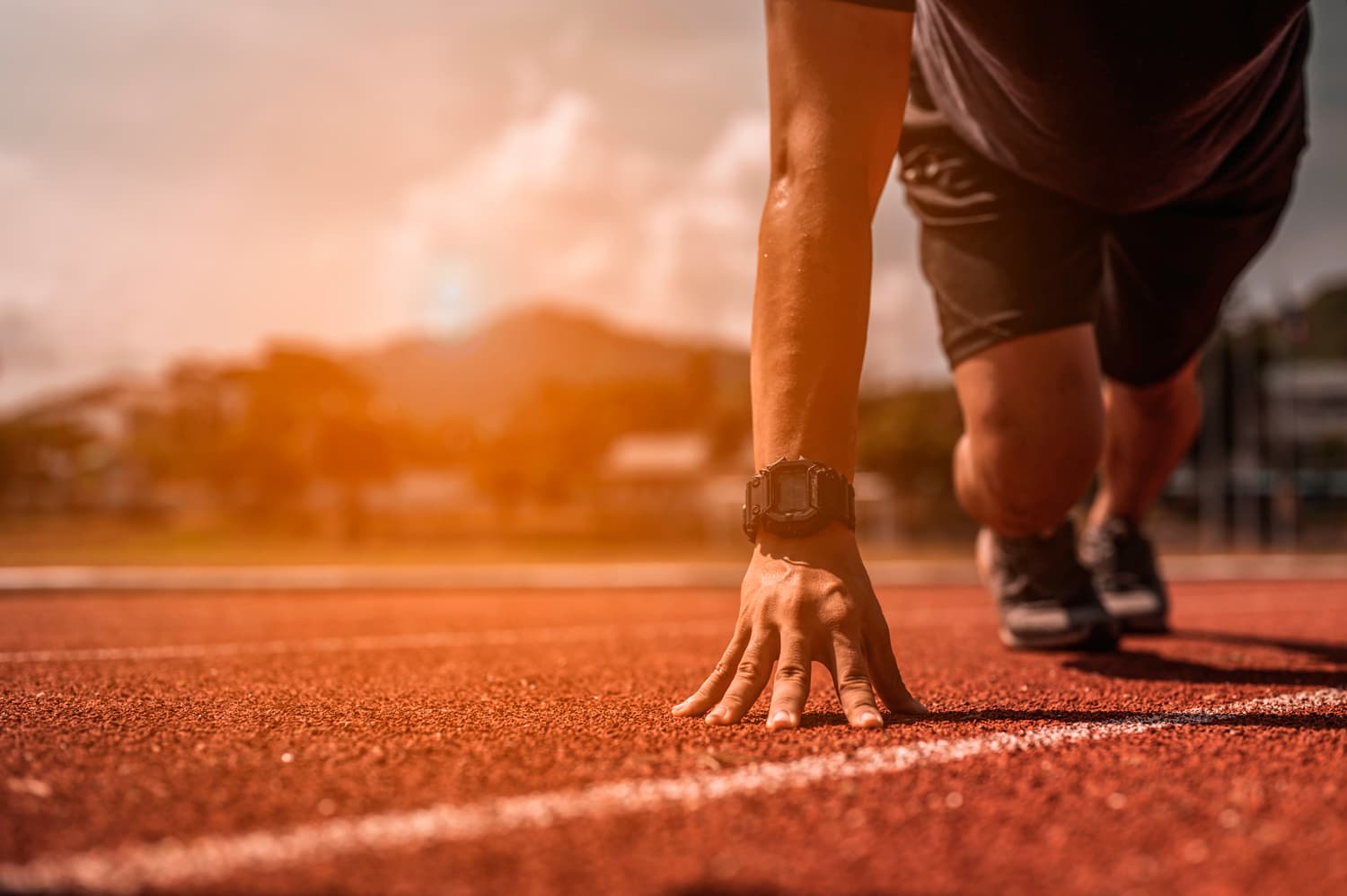 Facultad de Ciencias de la Actividad Física y del Deporte - rugby in Vitoria-Gasteiz