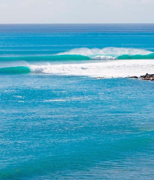 Surfers Free School - surf in La Oliva