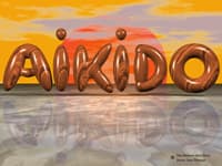 Aikido en la Vera - karate in Villanueva de la Vera