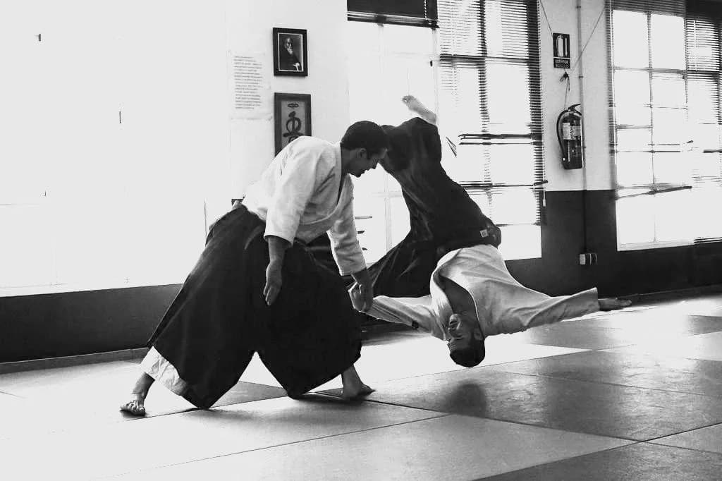 Heijoshin Aikido - karate in Utrera