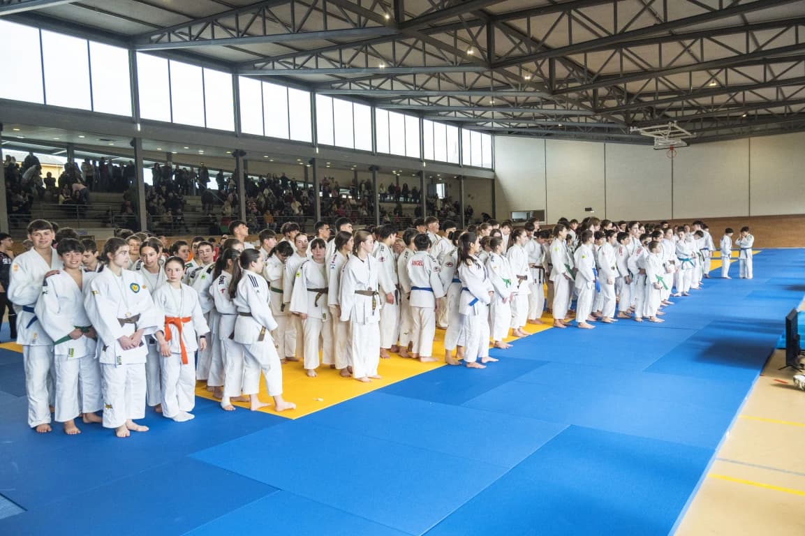 Federación Asturiana de Judo - judo in Oviedo