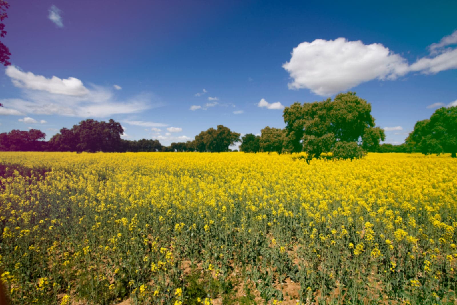 Piscina Municipal de La Cumbre - natacion in La Cumbre