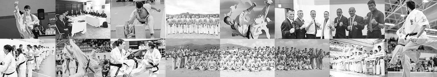 Takayama Dojo - karate in Las Rosas