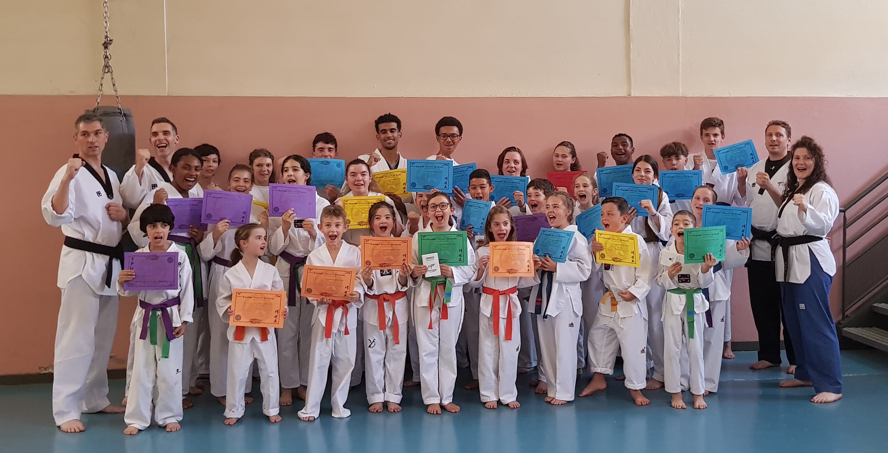 Taekwondo Hapkido Tarbes - karate in Tarbes