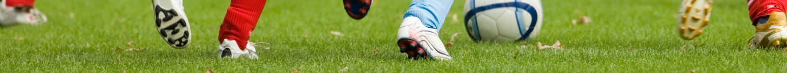 Oficinas de Servicio de Educación Física y Deportes de la Universidad de Salamanca - baloncesto in Salamanca