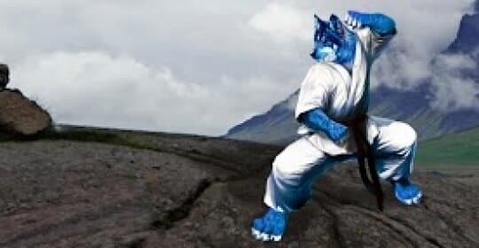 Okami Aikido - karate in O Porriño