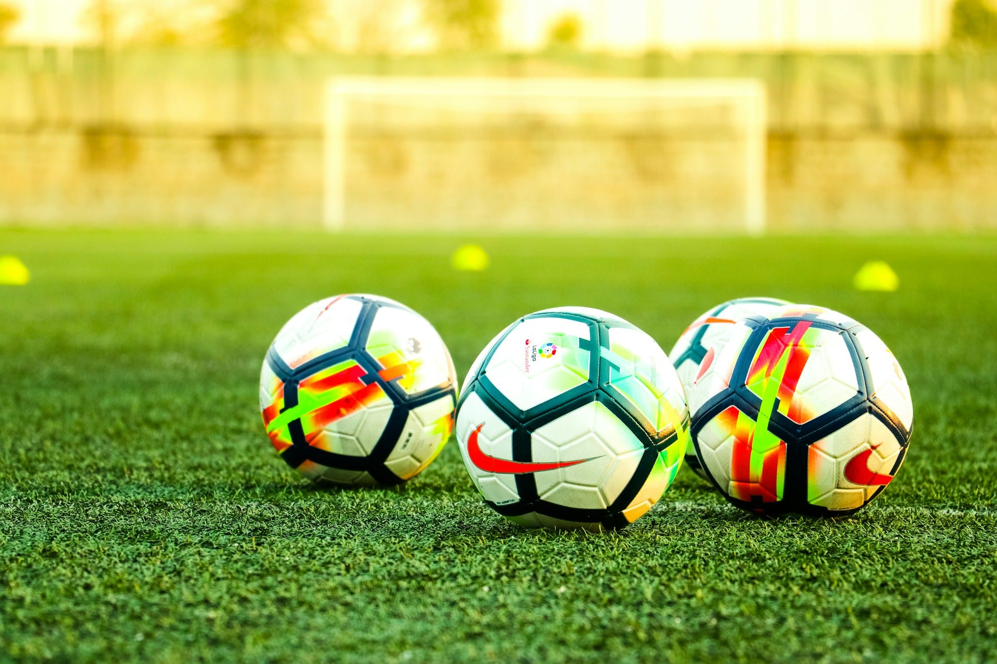 Futbol & Badgie