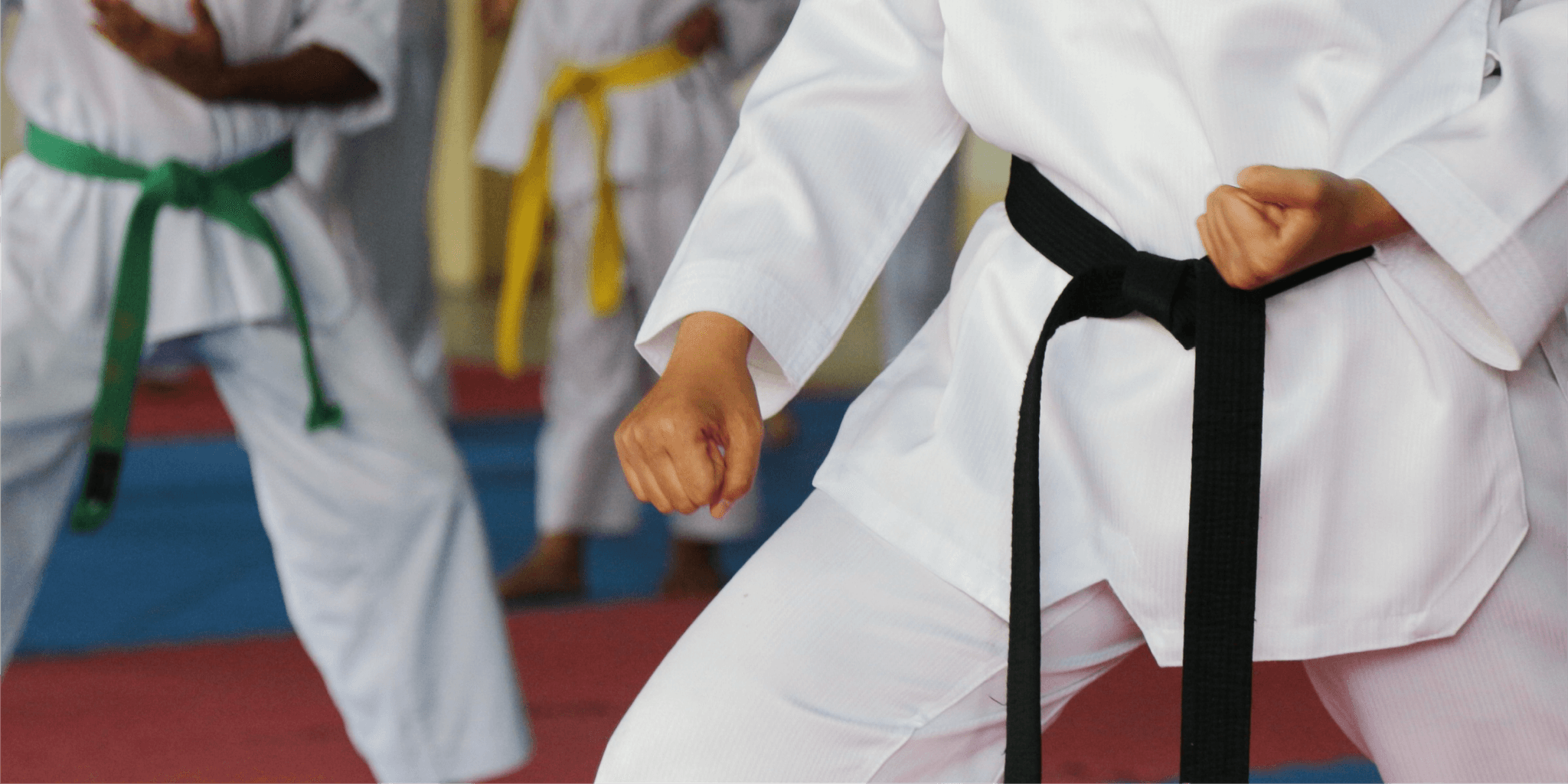 Your karate school deserves the best