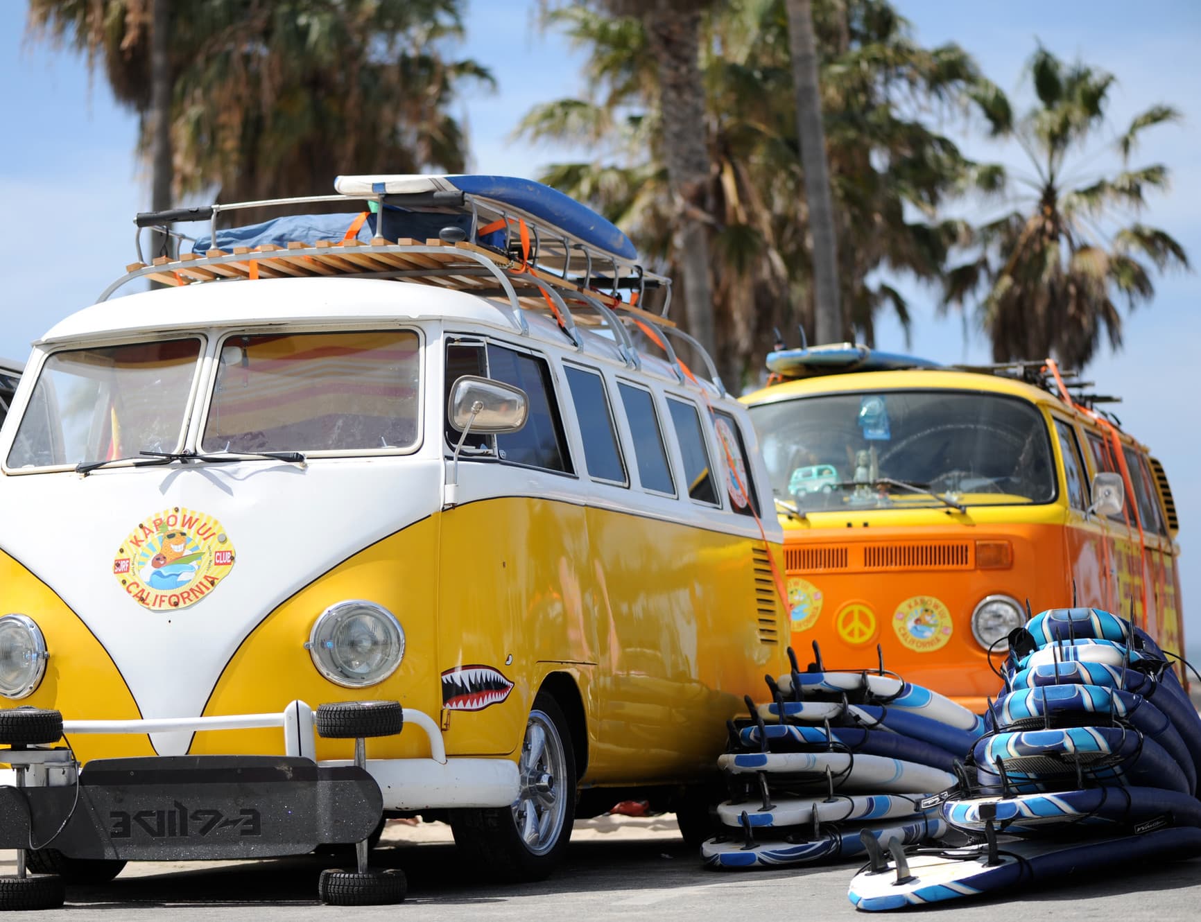 Kapowui Surf Lessons Santa Monica / Venice - surf in Santa Monica
