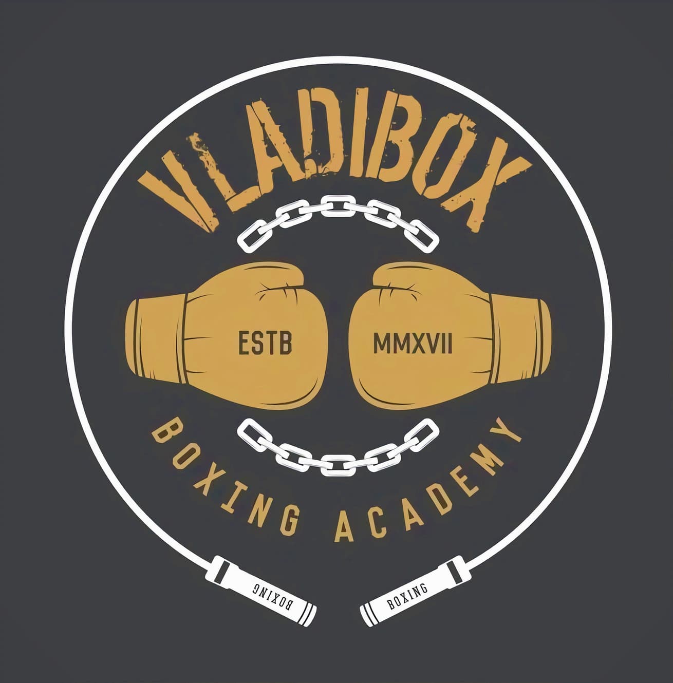 VLADIBOX BCN - boxeo in Barcelona