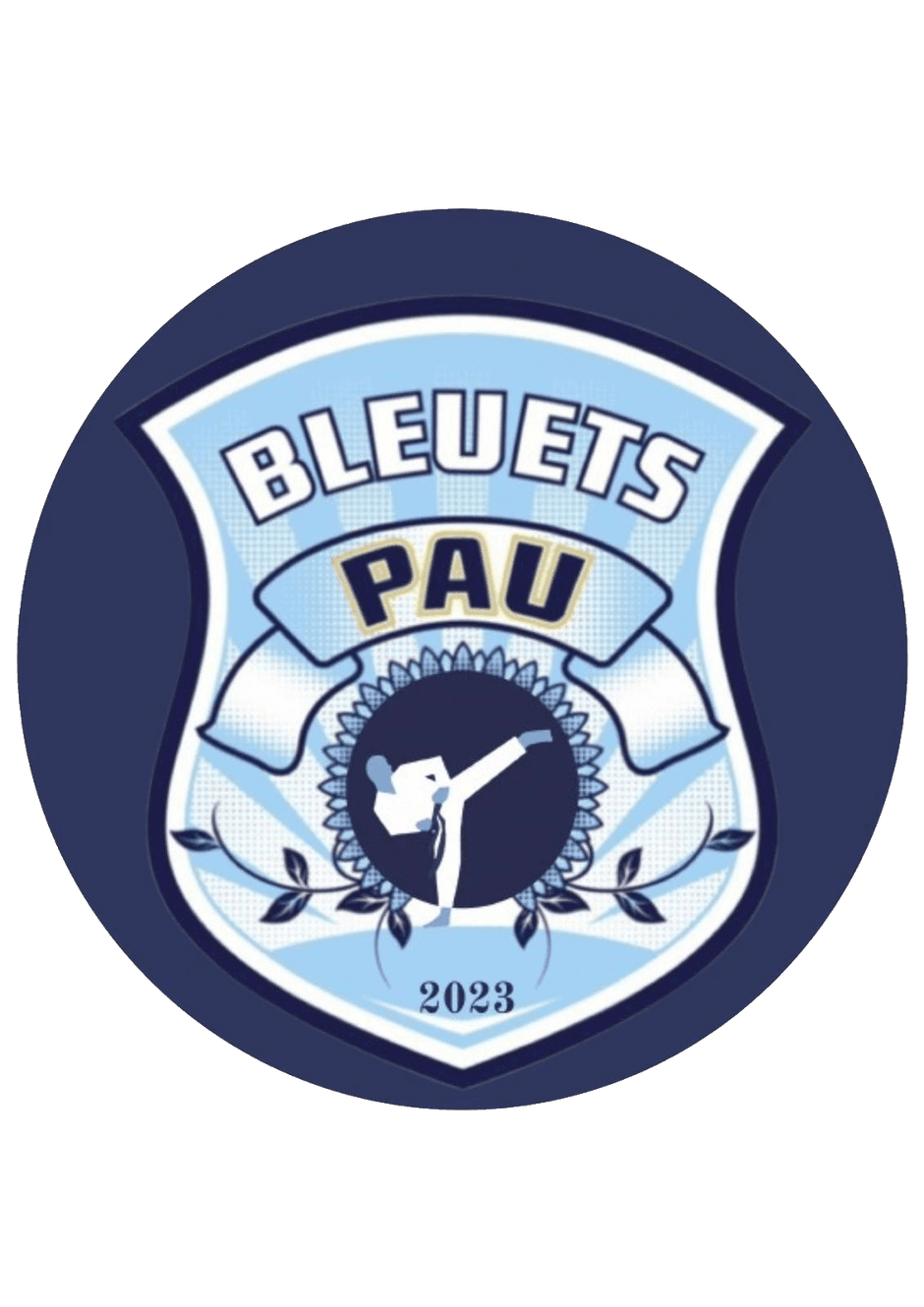 School Of Karate Do Shotokan Les Bleuets - karate in Pau