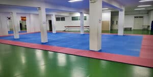 Gimnasio Kon-Gwe Taekwondo - karate in Amorebieta