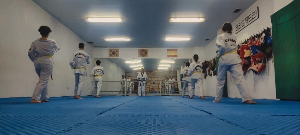 Gimnasio Chang Taekwondo - karate in València